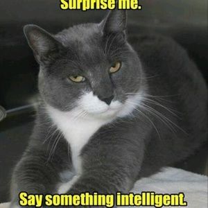 Meet your Posher, Lydia